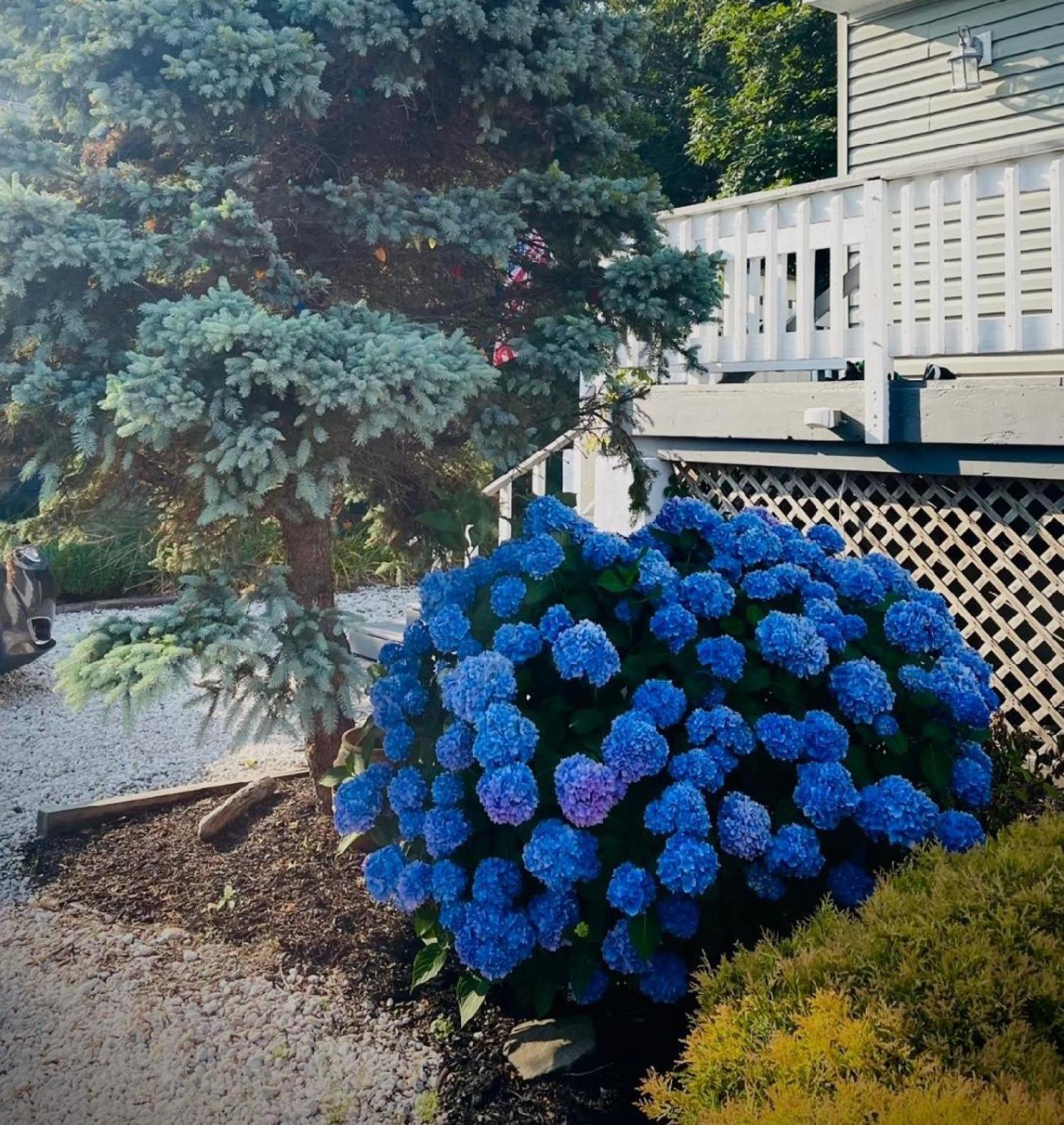 Cape May Beach - Beautiful Home W Secluded Beach Villas Екстериор снимка